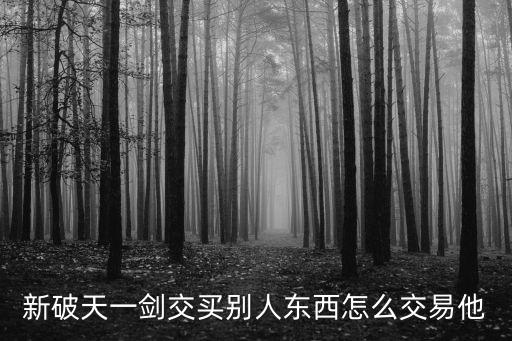 新破天一剑交买别人东西怎么交易他
