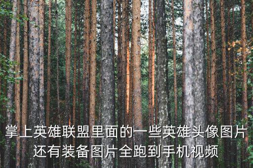 掌上英雄联盟里面的一些英雄头像图片还有装备图片全跑到手机视频