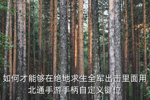 如何才能够在绝地求生全军出击里面用北通手游手柄自定义键位