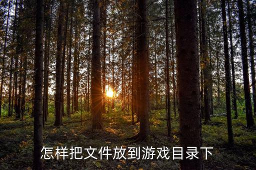 怎样把文件放到游戏目录下