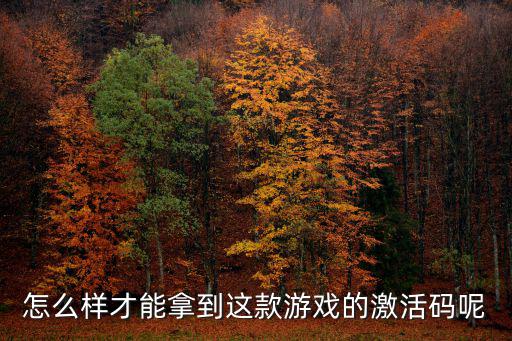 怎么样才能拿到这款游戏的激活码呢