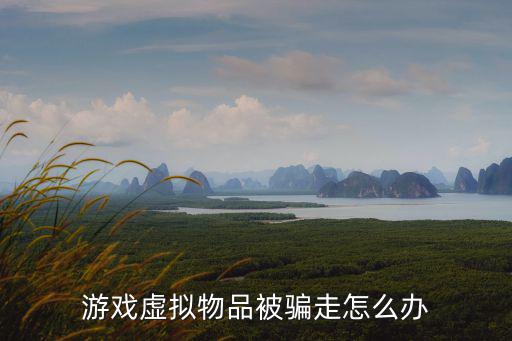 游戏虚拟物品被骗走怎么办