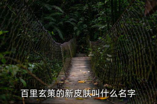 百里玄策的新皮肤叫什么名字