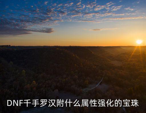 dnf千手罗汉什么属性，千手罗汉是加力量还是智力或者是什么属性