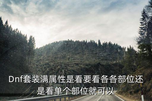 Dnf套装满属性是看要看各各部位还是看单个部位就可以