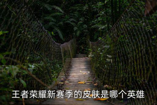 王者荣耀新赛季的皮肤是哪个英雄