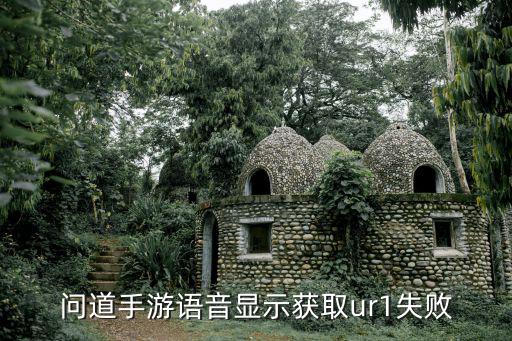 问道手游语音显示获取ur1失败