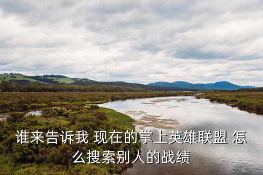 谁来告诉我 现在的掌上英雄联盟 怎么搜索别人的战绩