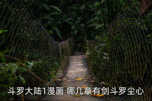 斗罗大陆1漫画 哪几章有剑斗罗尘心