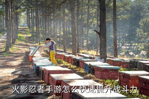 火影忍者手游怎么快速提升战斗力