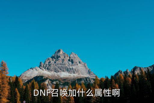 DNF召唤加什么属性啊