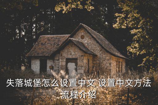 失落城堡手游执照怎么用，失落城堡怎么设置中文 设置中文方法流程介绍