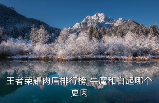 王者荣耀肉盾排行榜 牛魔和白起哪个更肉