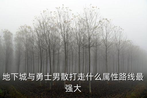 地下城与勇士男散打走什么属性路线最强大