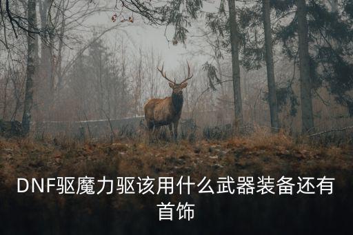 驱魔dnf用什么武器属性，DNF驱魔拿什么武器好