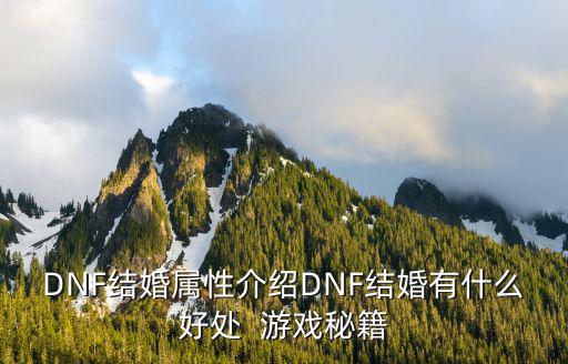 dnf金币结婚属性是什么，DNF结婚属性介绍DNF结婚有什么好处  游戏秘籍