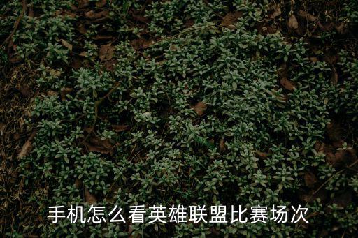 手机怎么看英雄联盟比赛场次
