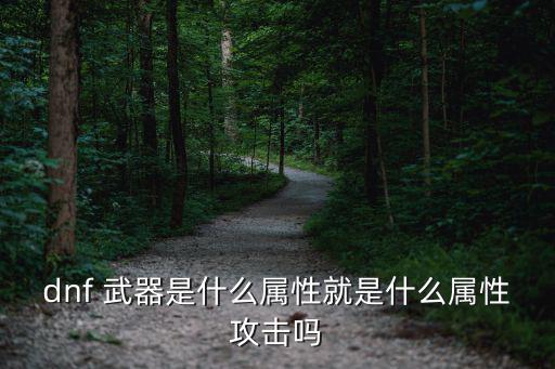 dnf 武器是什么属性就是什么属性攻击吗
