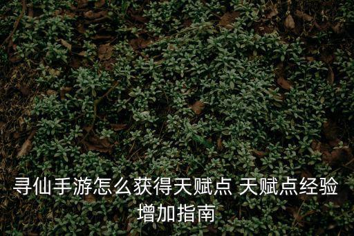 寻仙手游怎么得经验，寻仙手游怎么获得天赋点 天赋点经验增加指南