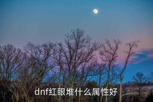 dnf红眼堆什么属性好