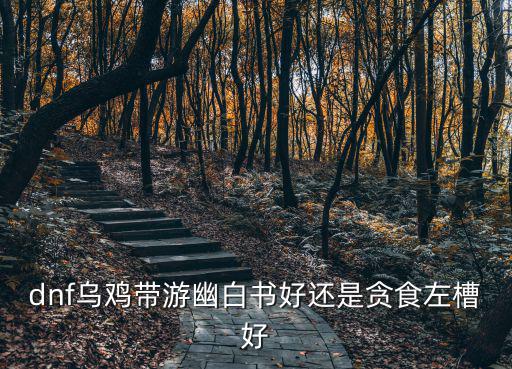 dnf乌鸡带游幽白书好还是贪食左槽好