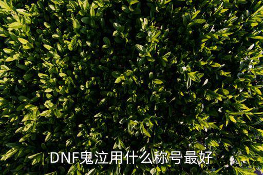 DNF鬼泣用什么称号最好