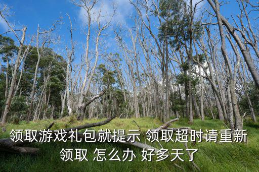 领取游戏礼包就提示 领取超时请重新领取 怎么办 好多天了