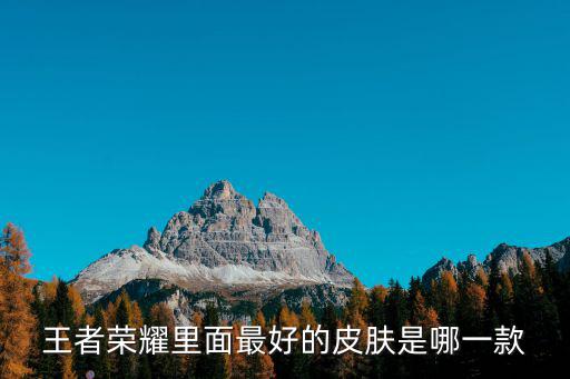 去哪里举报王者荣耀新皮肤，王者荣耀刚刚领的新皮肤在哪里看