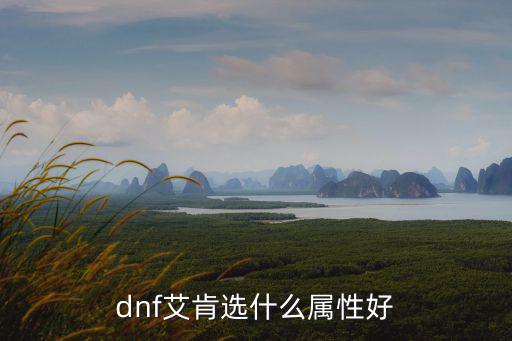 dnf艾肯选什么属性好