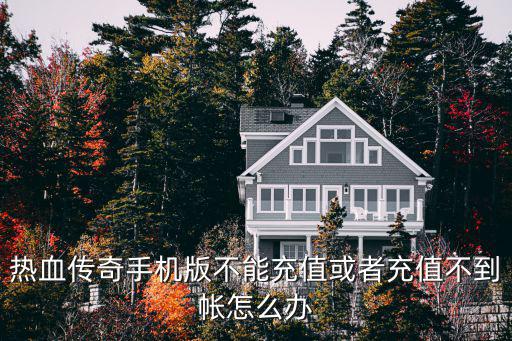热血传奇手机版不能充值或者充值不到帐怎么办