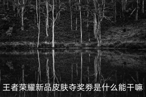 王者荣耀新品皮肤夺奖劵是什么能干嘛