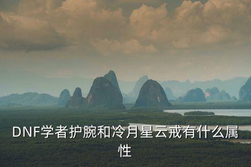 DNF学者护腕和冷月星云戒有什么属性