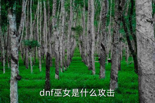 dnf女巫是什么属性的，dnf巫女二觉怎么样 巫女二次觉醒技能属性介绍