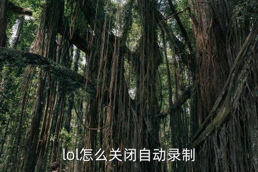 lol怎么关闭自动录制