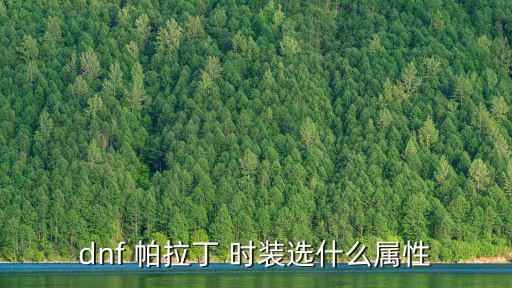 dnf 帕拉丁 时装选什么属性