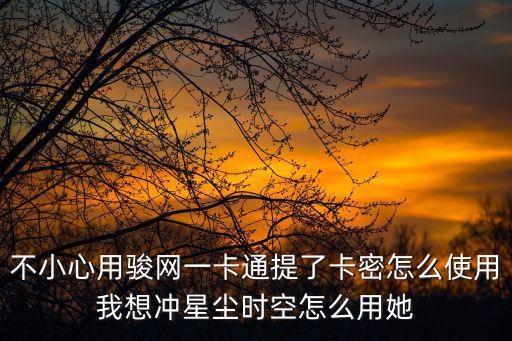 不小心用骏网一卡通提了卡密怎么使用我想冲星尘时空怎么用她