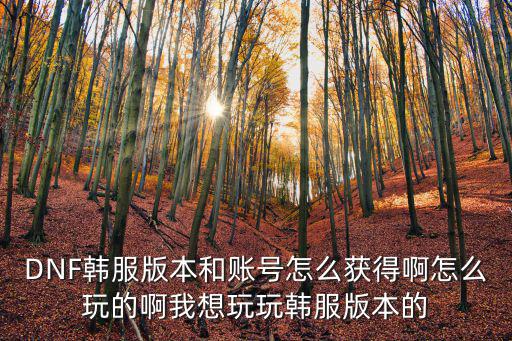 DNF韩服版本和账号怎么获得啊怎么玩的啊我想玩玩韩服版本的