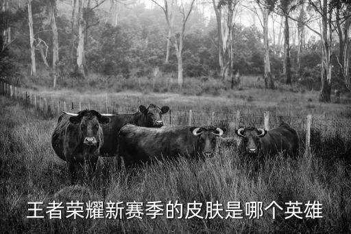 王者荣耀暴君新皮肤叫什么，王者荣耀的新版本排位皮肤是什么