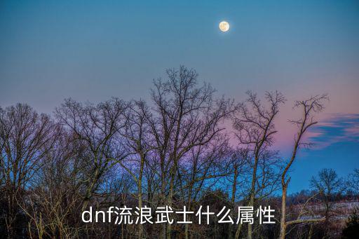 dnf流浪武士什么属性
