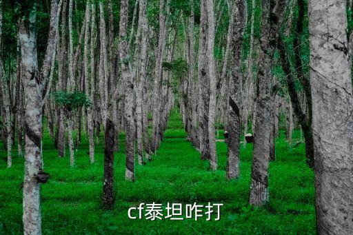 cf泰坦咋打