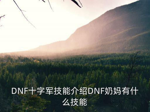DNF十字军技能介绍DNF奶妈有什么技能