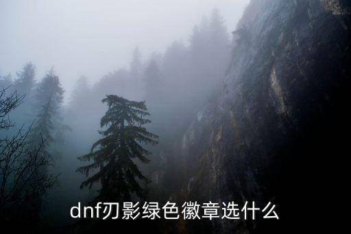 dnf绿色徽章加什么属性，地下城与勇士死灵术士绿色徽章用什么属性好