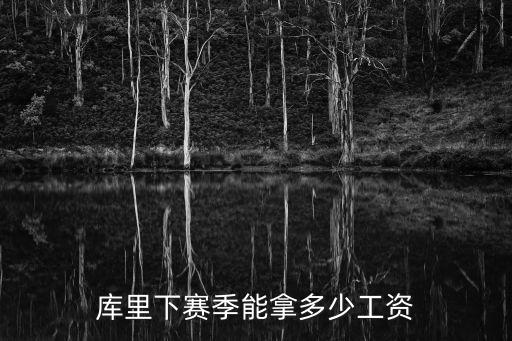 库里下赛季能拿多少工资