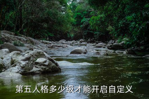 第五人格多少级才能开启自定义