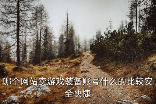 网络游戏装备怎么样的安全，淘宝网游戏装备交易安全吗