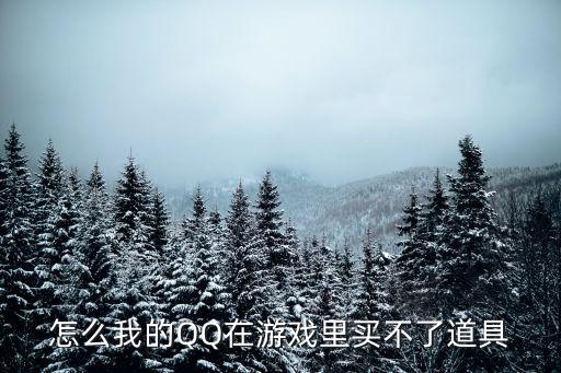 游戏装备怎么弄回来买不了，买不了道具怎么回事版主进