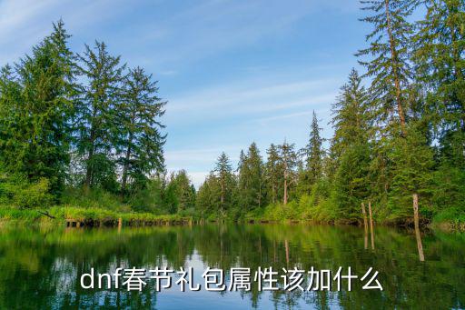 dnf春节礼包选什么属性，DNF春节大礼包咋么选属性