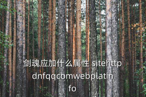 dnf剑魂追求什么属性，DNF剑魂什么属性好