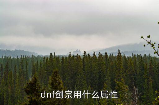 dnf剑宗用什么属性