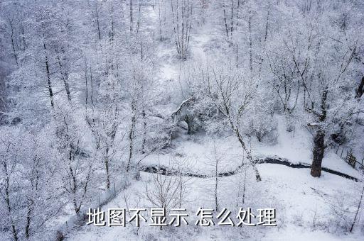地图不显示 怎么处理